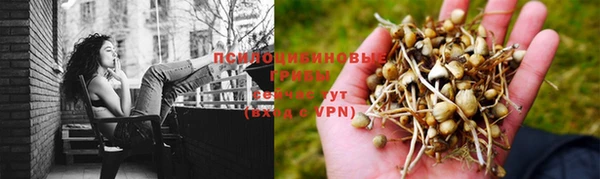 spice Навашино