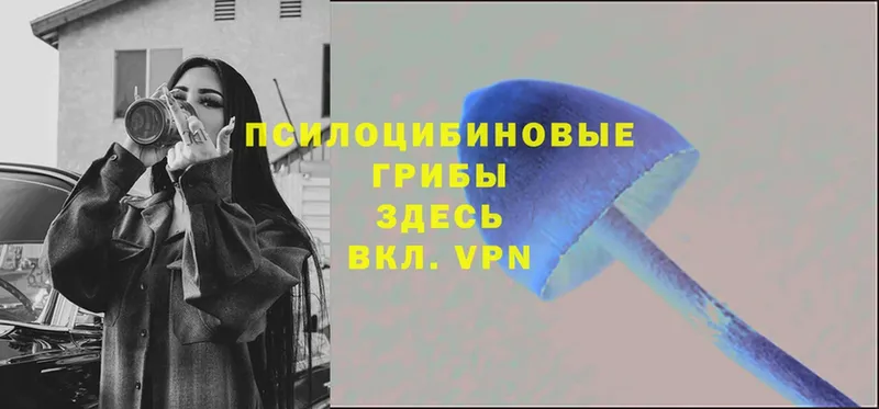 где купить ОМГ ОМГ ссылки Галлюциногенные грибы GOLDEN TEACHER Ноябрьск