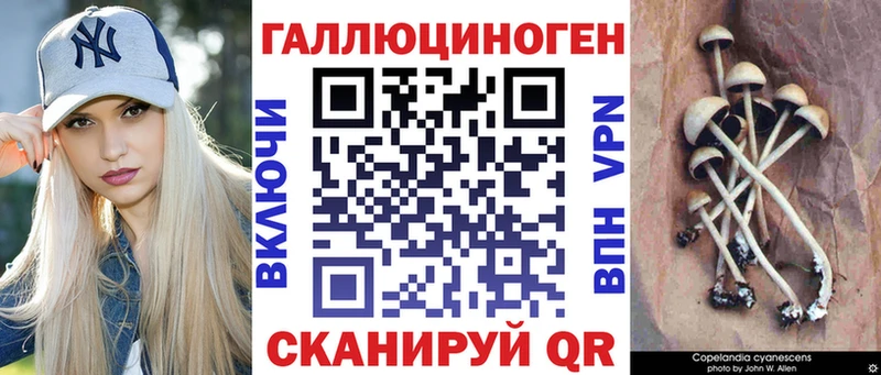 Галлюциногенные грибы Cubensis  Ноябрьск 