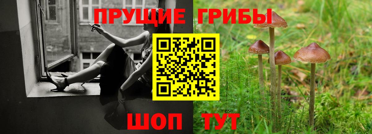 Ноябрьск  Галлюциногенные грибы ЛСД  Вход с VPN 