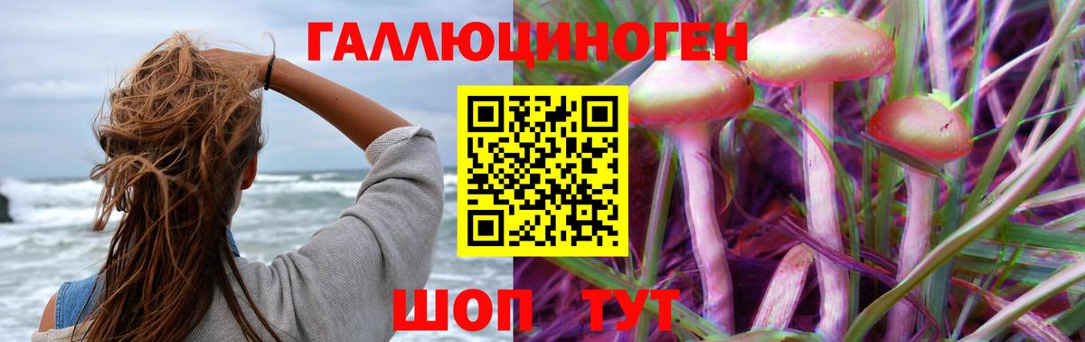 Псилоцибиновые грибы мицелий  Ноябрьск 